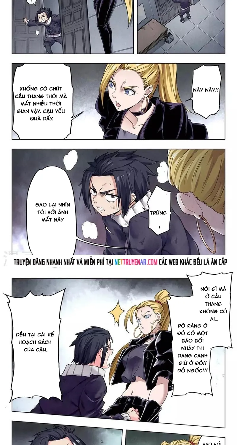 Chapter 244