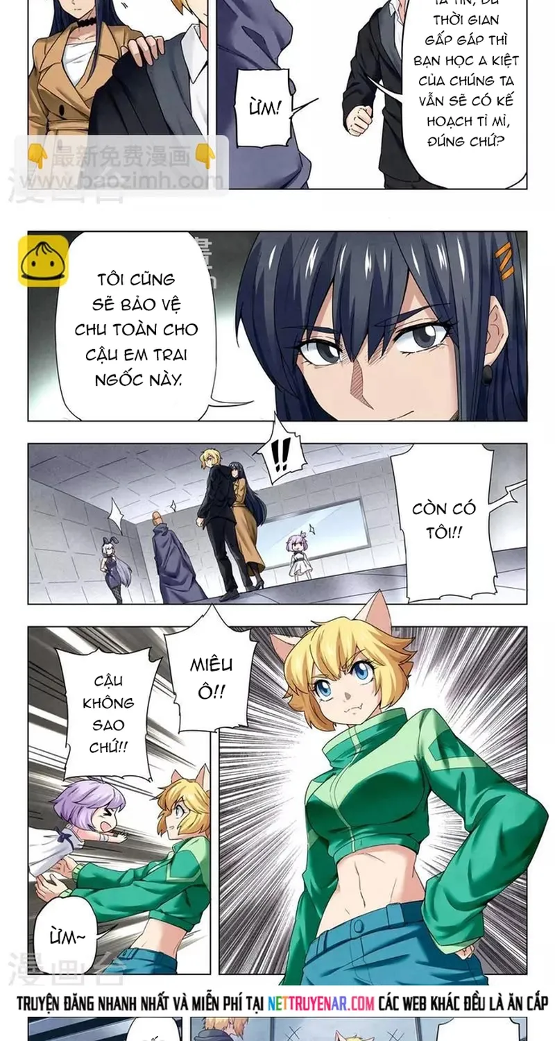 Chapter 245