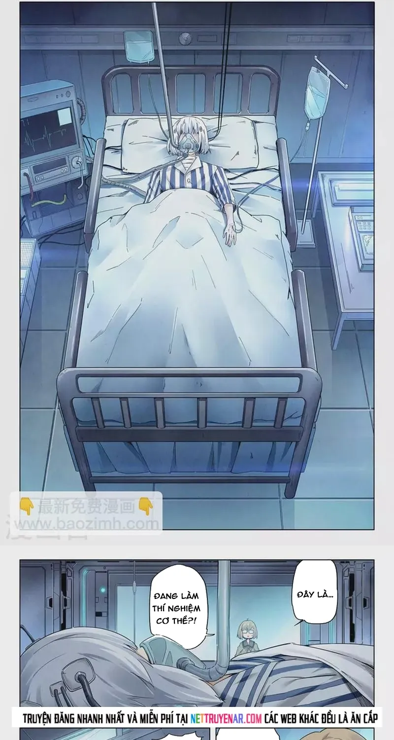 Chapter 252