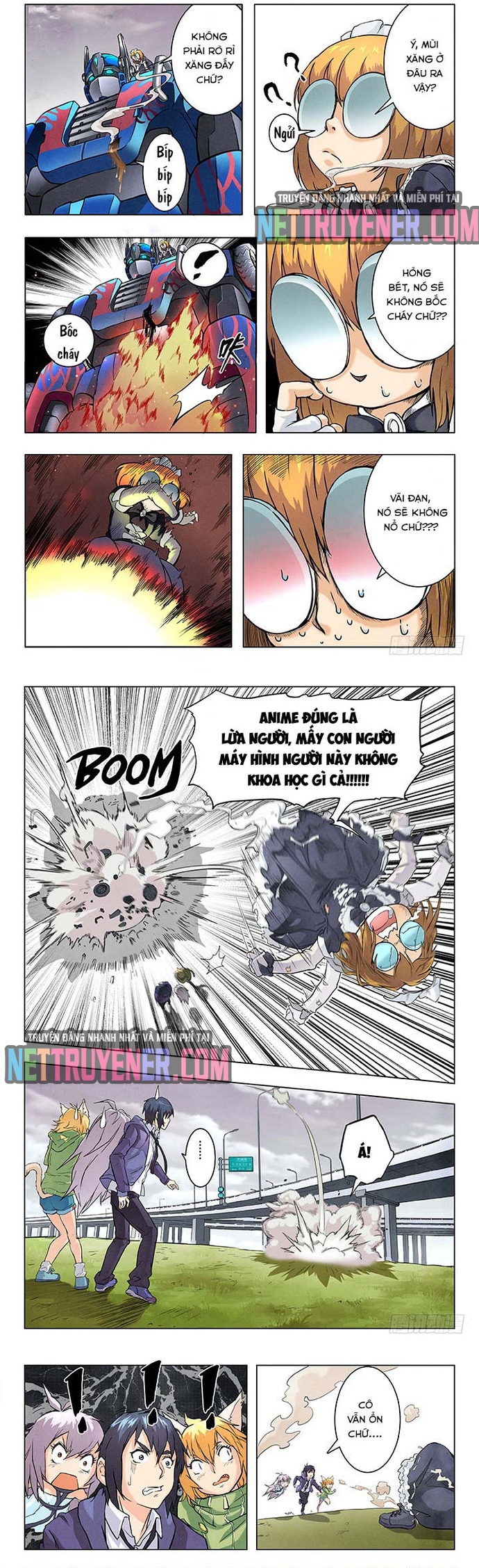 Chapter 29