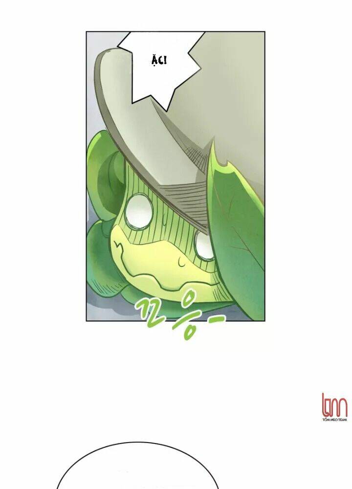 Chapter 4