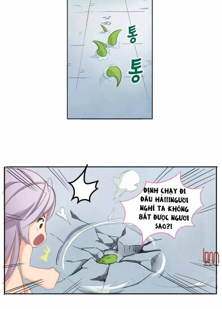 Chapter 4