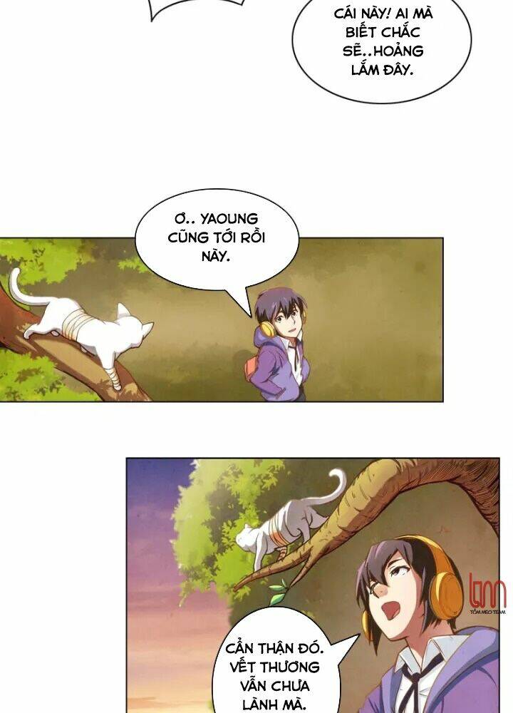 Chapter 5