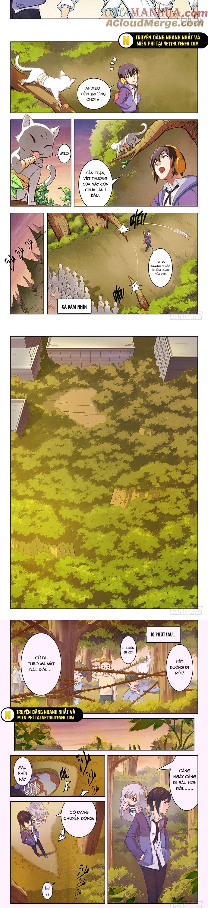 Chapter 8