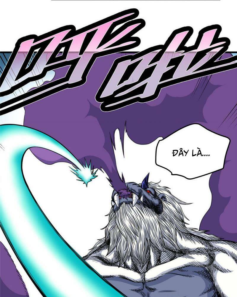 Chapter 104