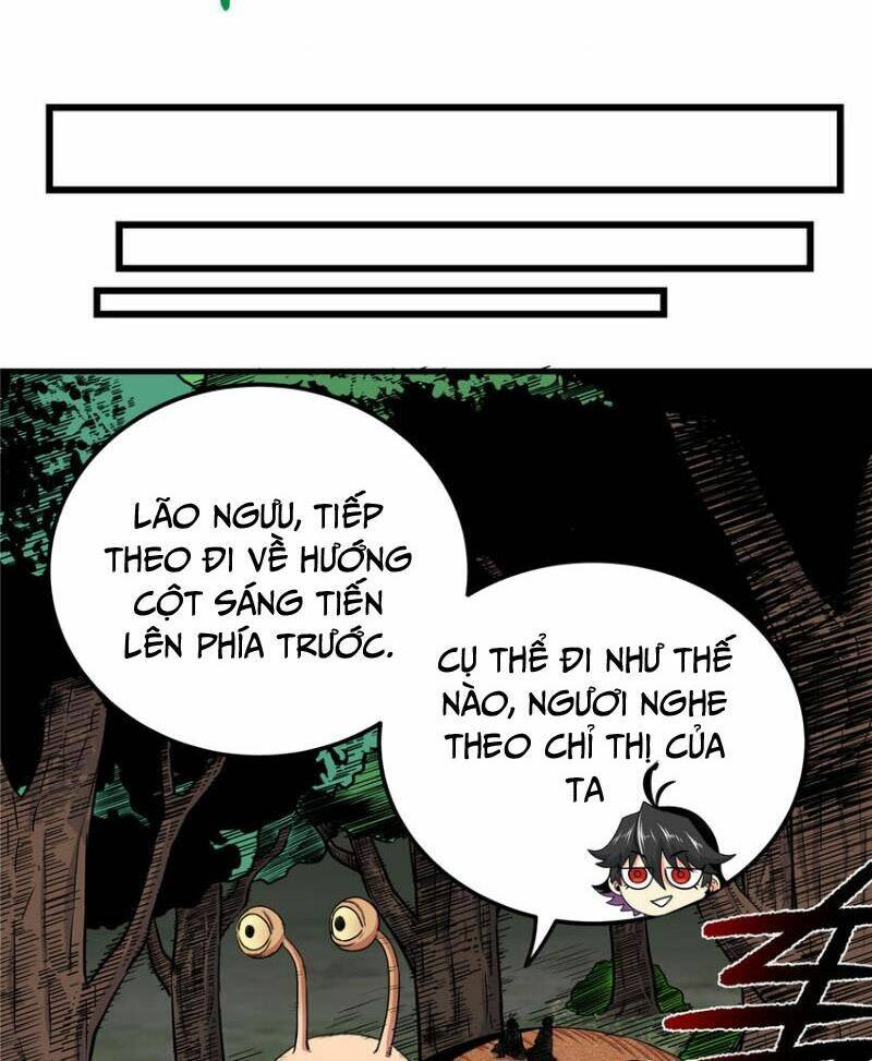 Chapter 105