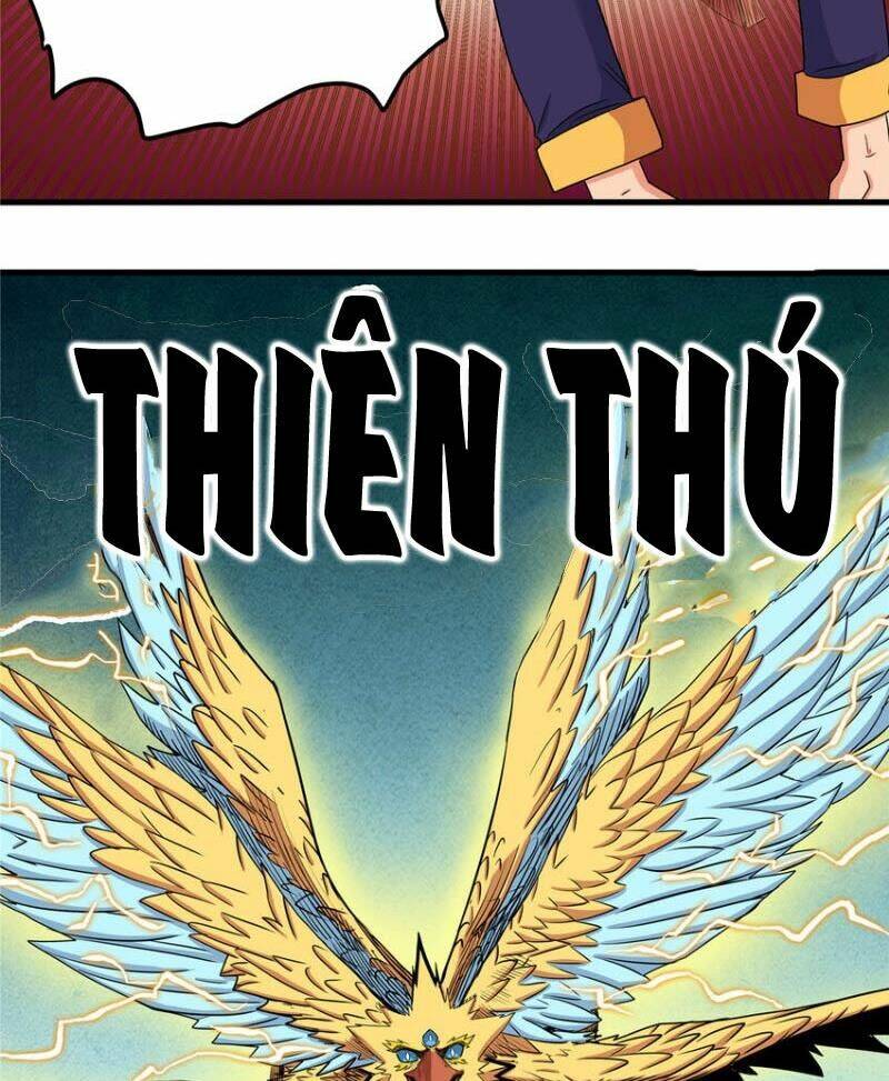 Chapter 105