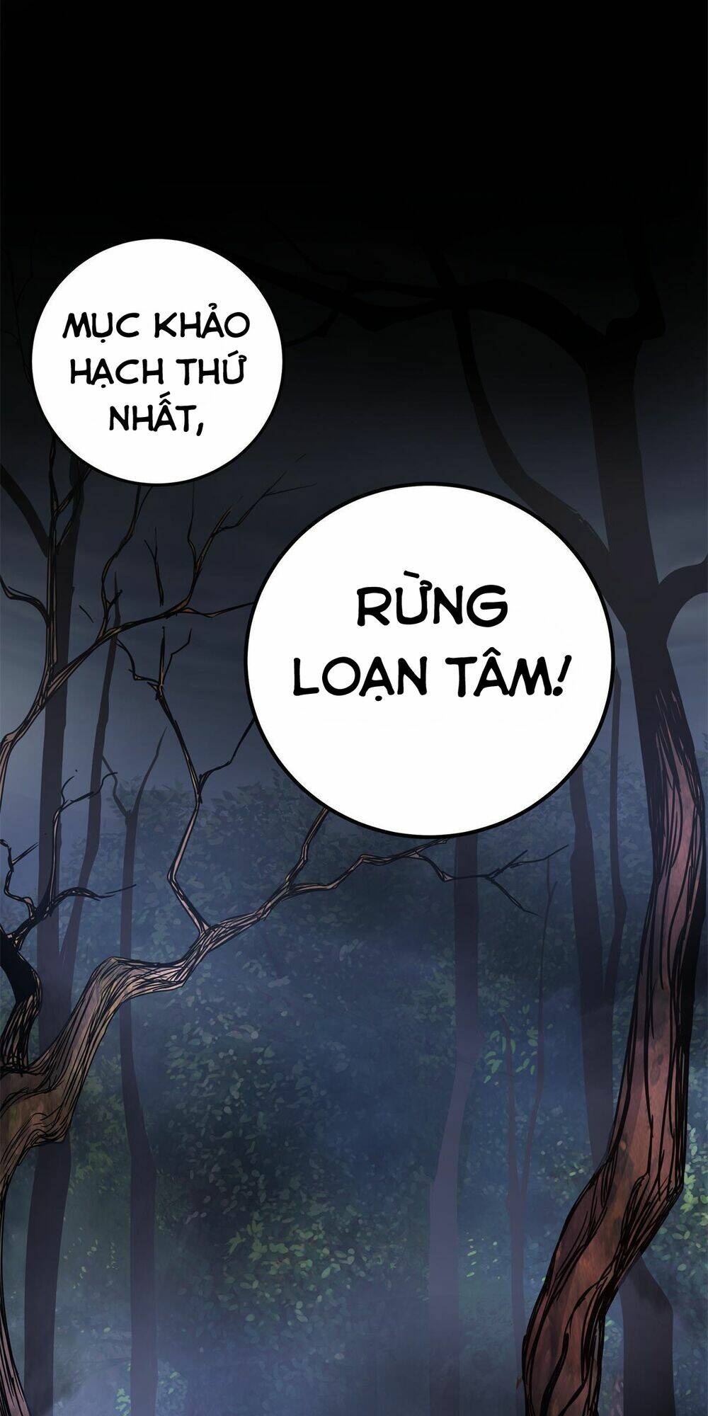 Chapter 13