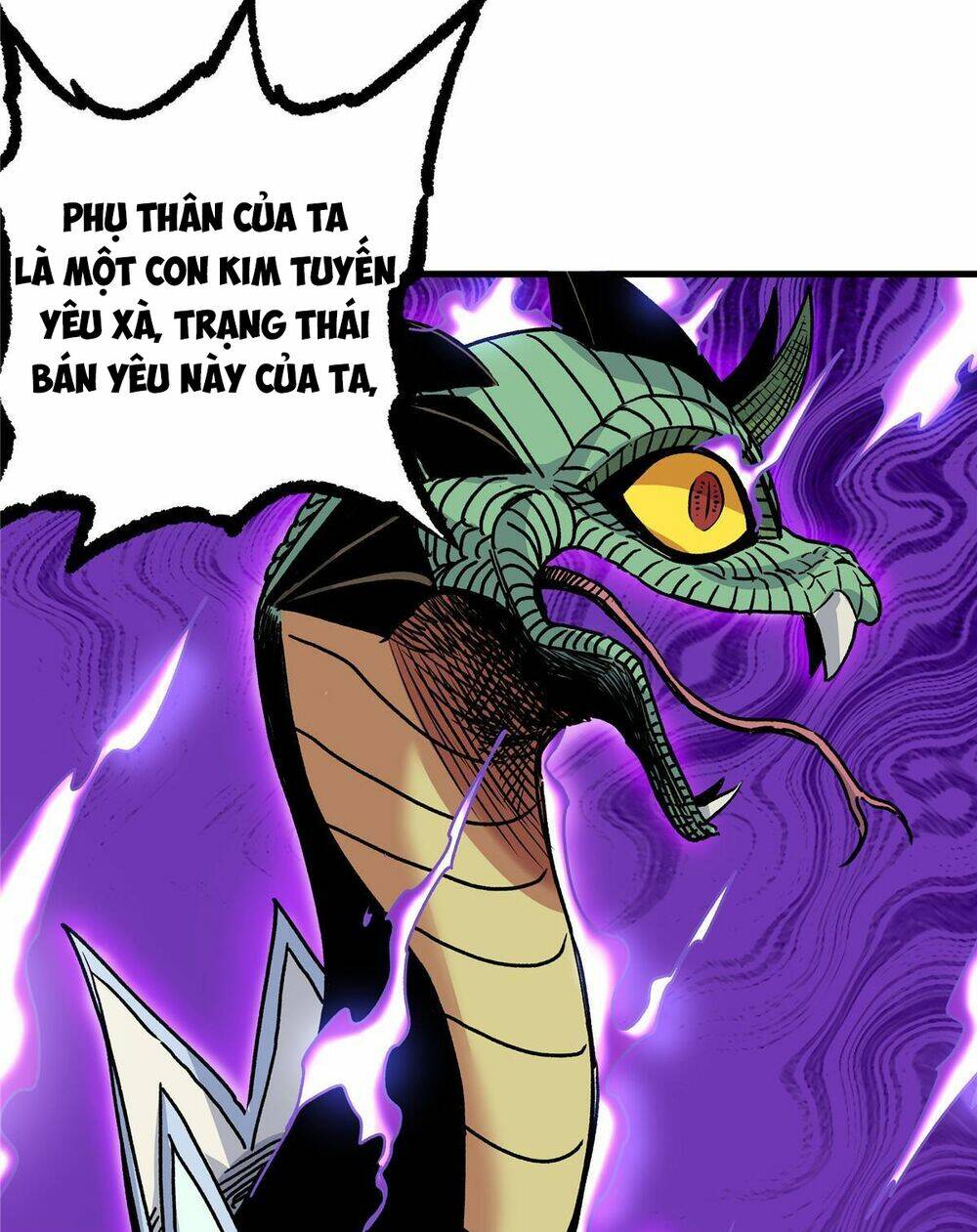 Chapter 19