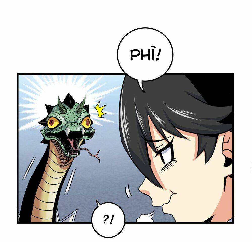 Chapter 19