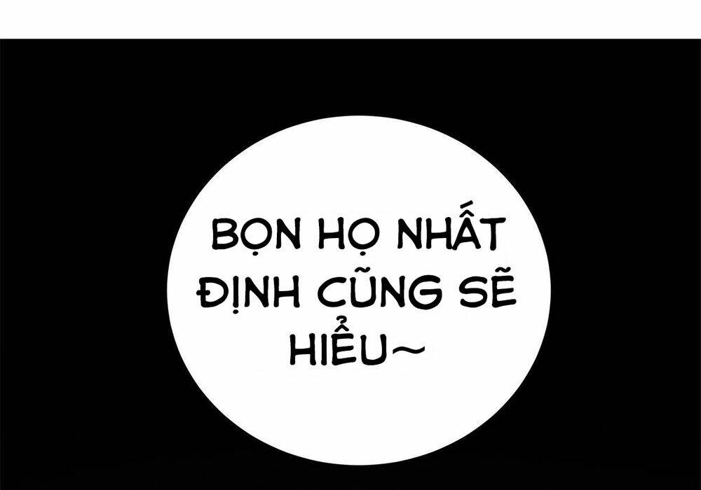 Chapter 23