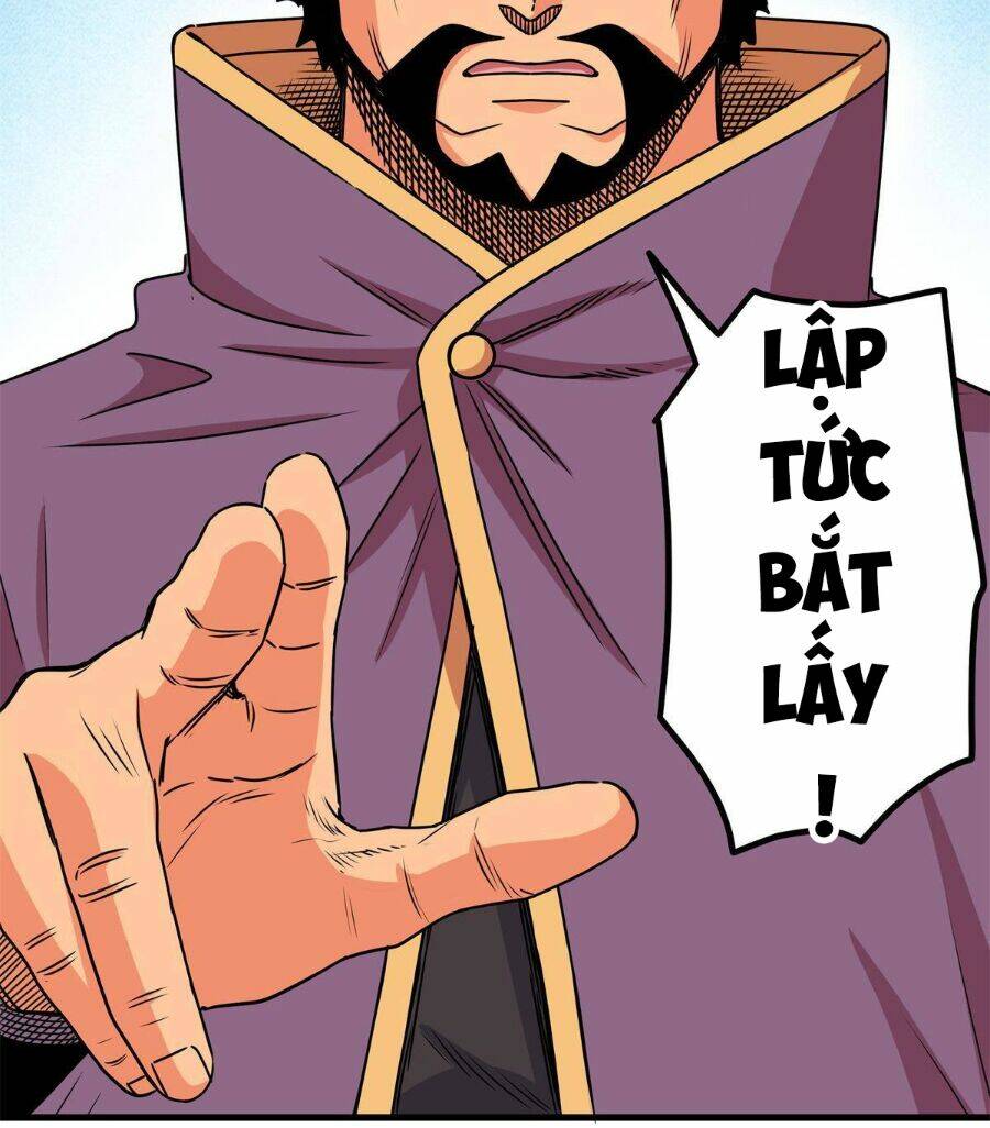 Chapter 33