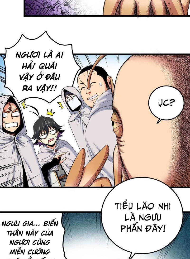 Chapter 80