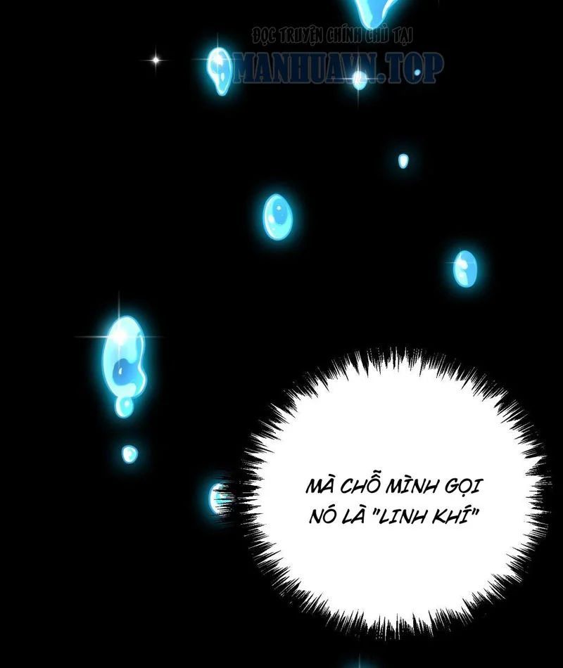 Chapter 1