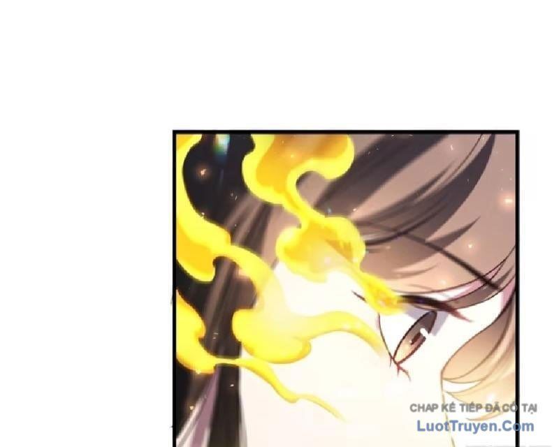 Chapter 11