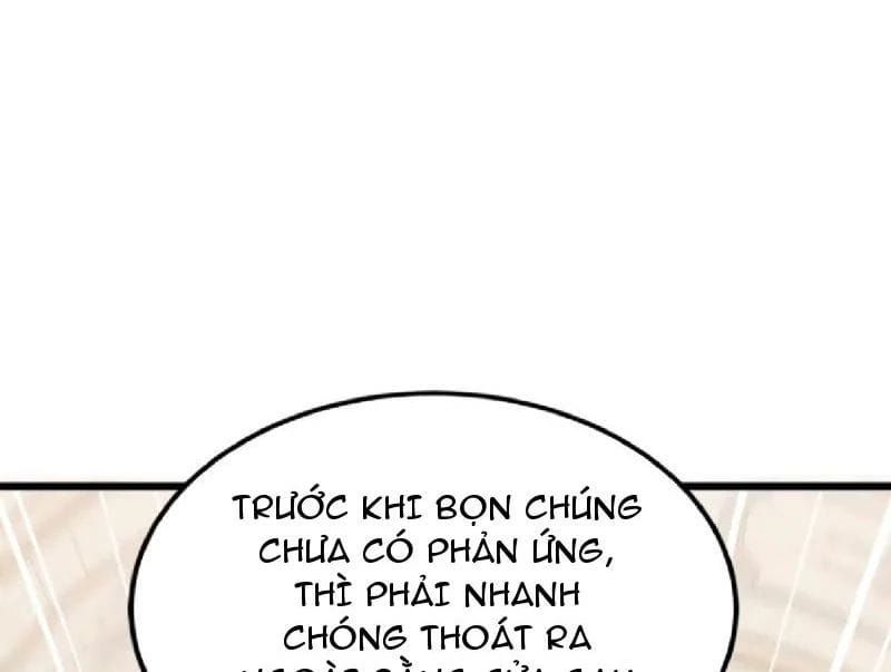 Chapter 13