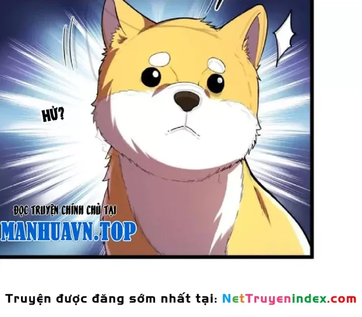 Chapter 15