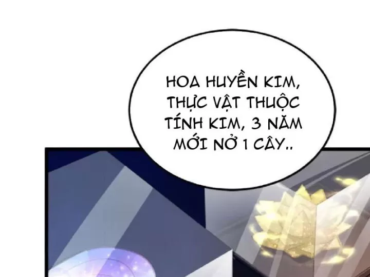 Chapter 19