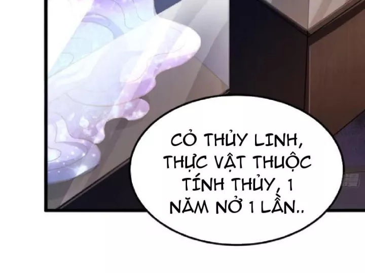 Chapter 19