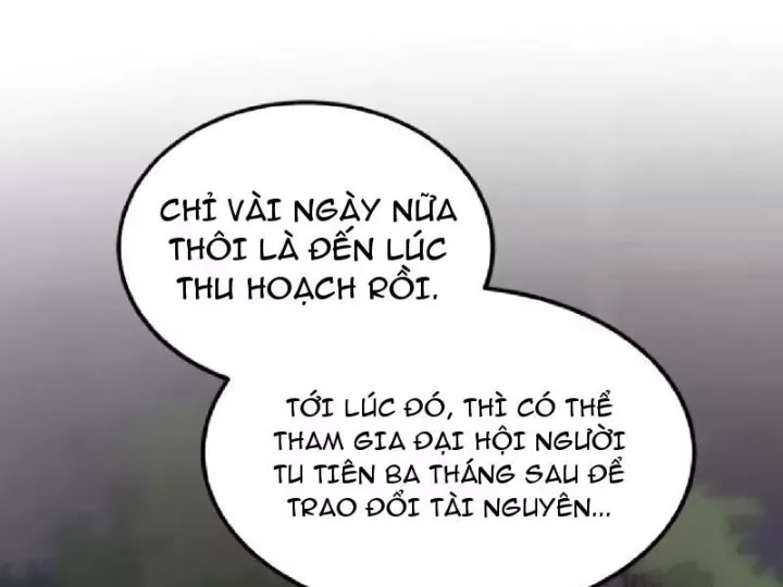 Chapter 19