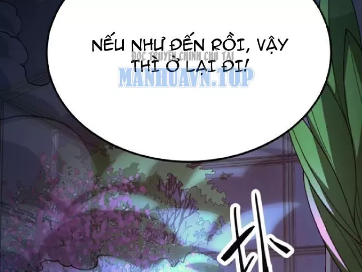 Chapter 19
