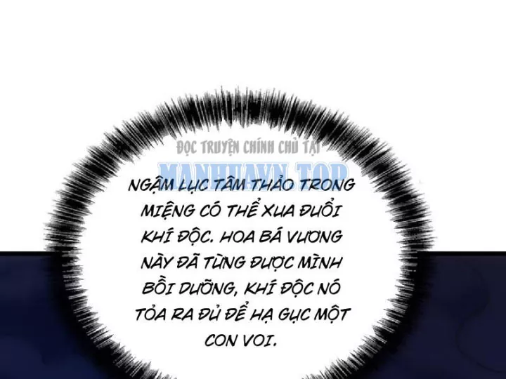 Chapter 19