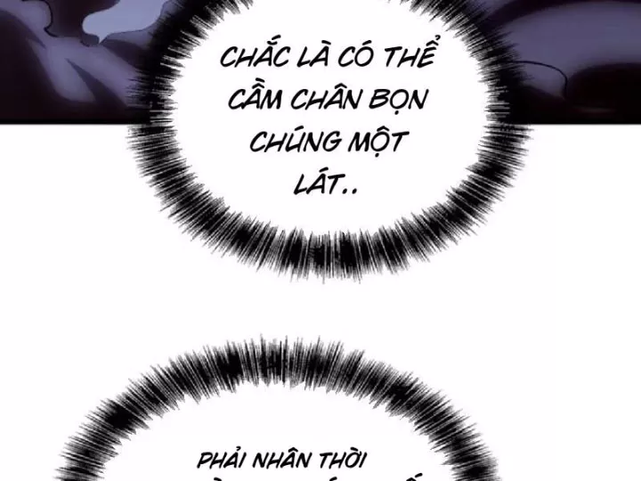 Chapter 19