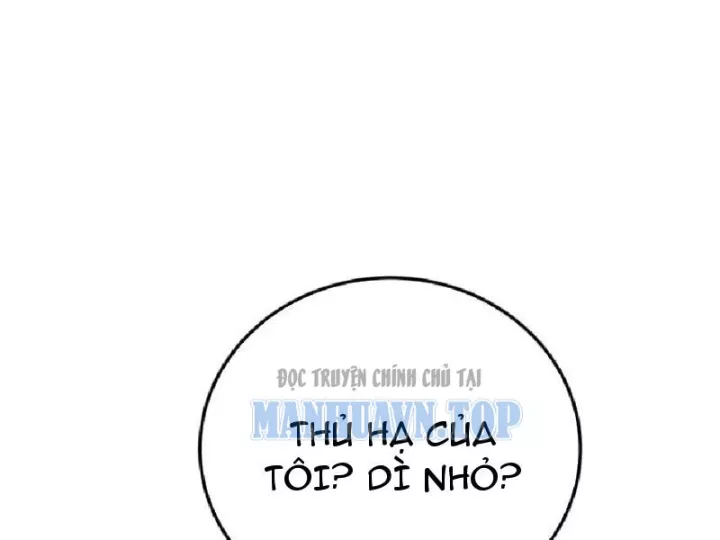 Chapter 20