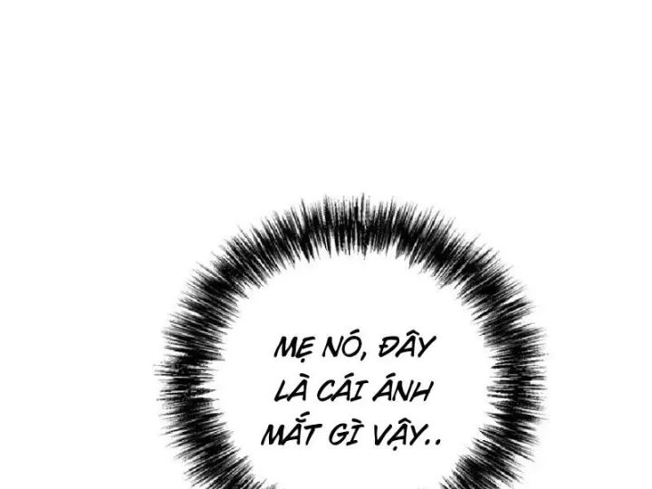 Chapter 20