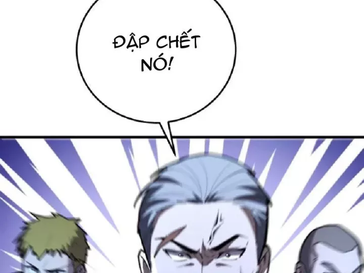 Chapter 20
