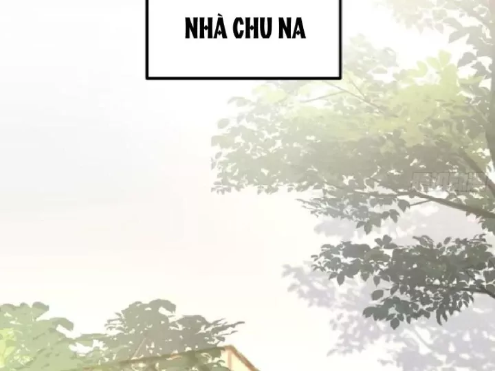 Chapter 20