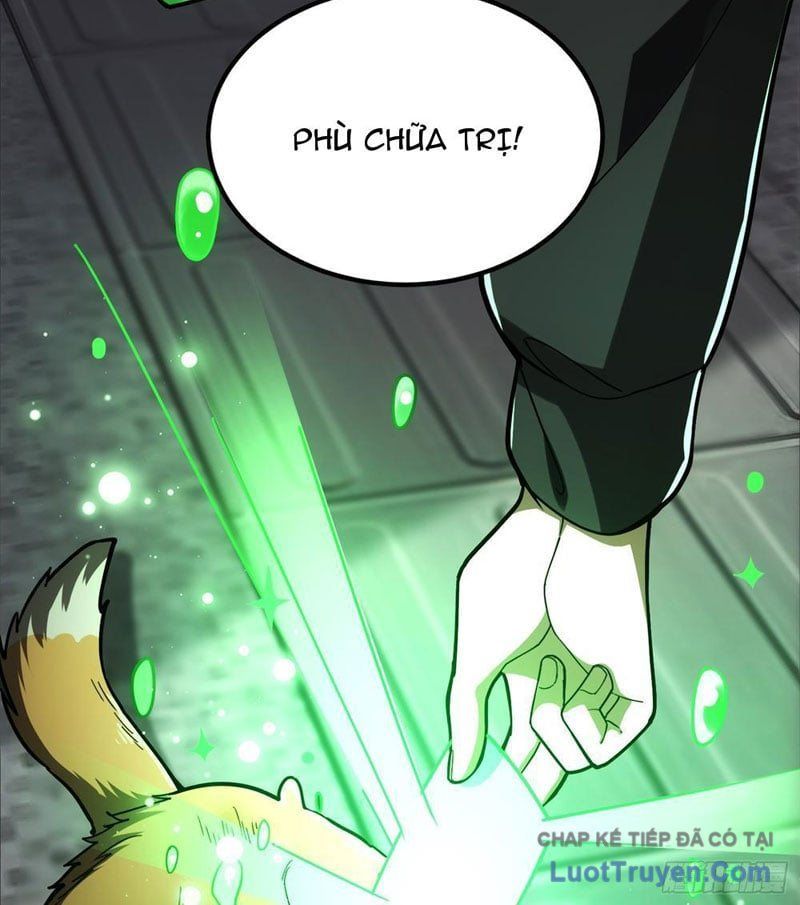 Chapter 3