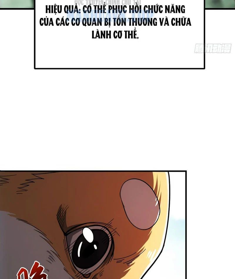 Chapter 3