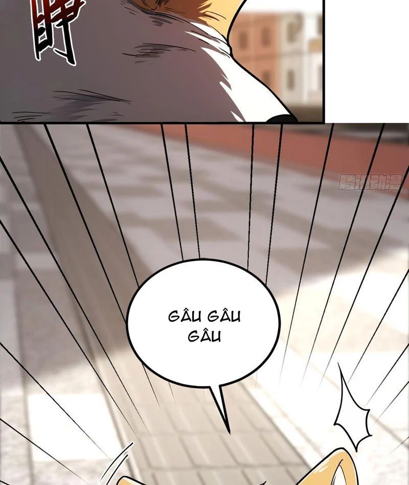 Chapter 3