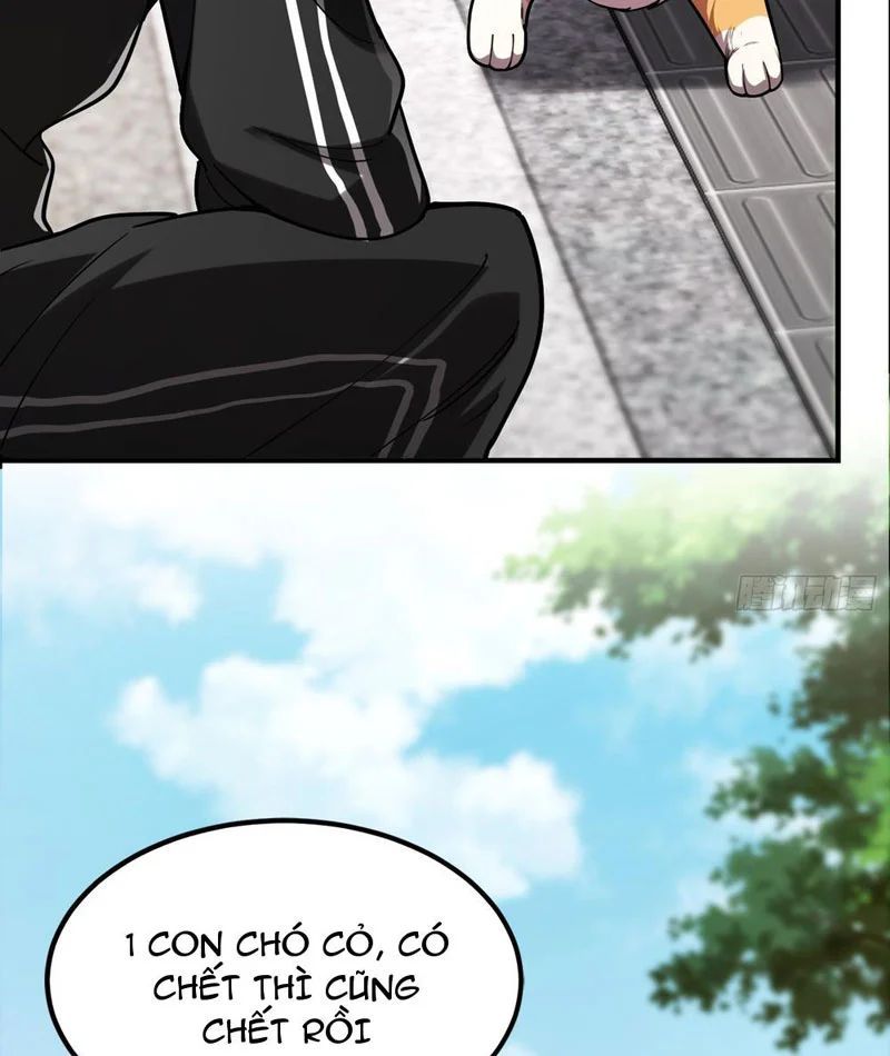 Chapter 3