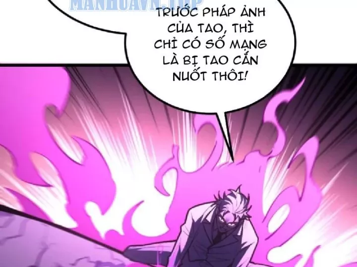Chapter 23