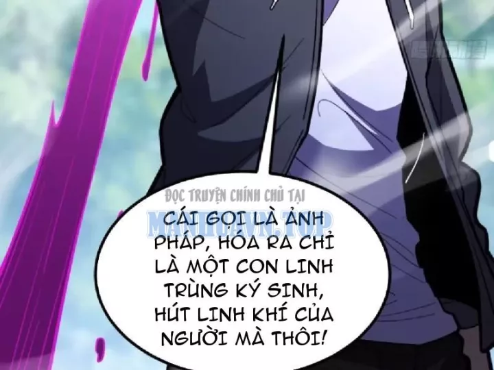 Chapter 23