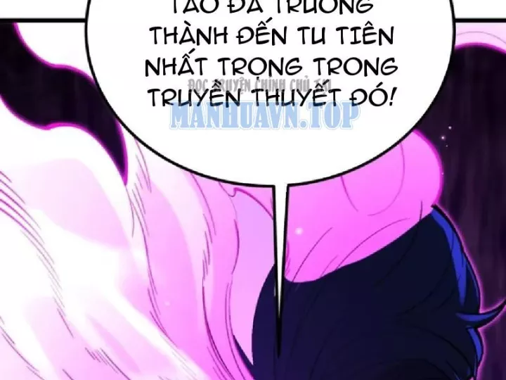 Chapter 23