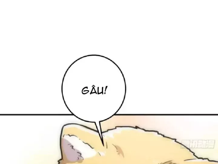 Chapter 24