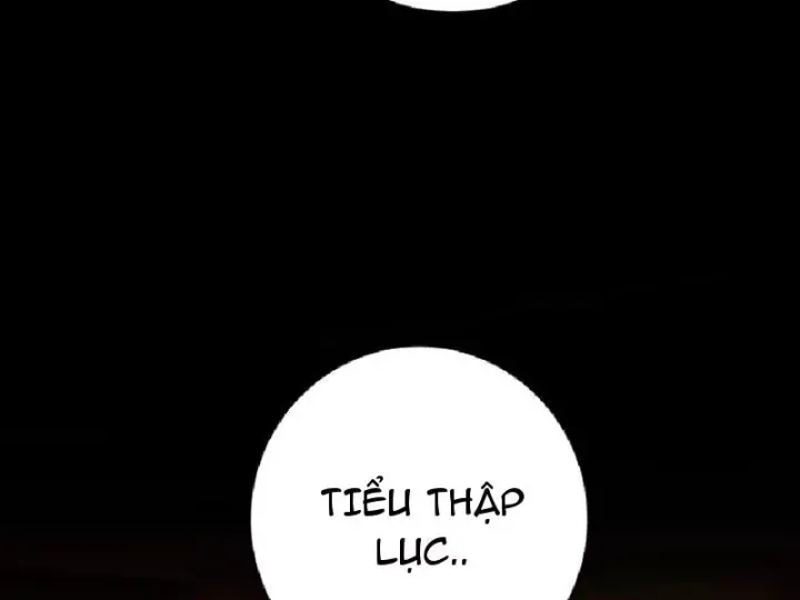 Chapter 24