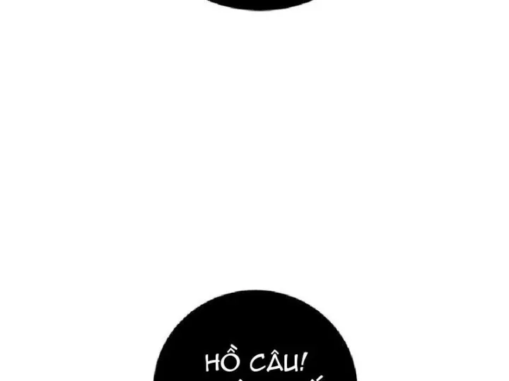 Chapter 24