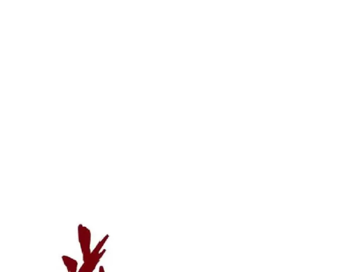 Chapter 32