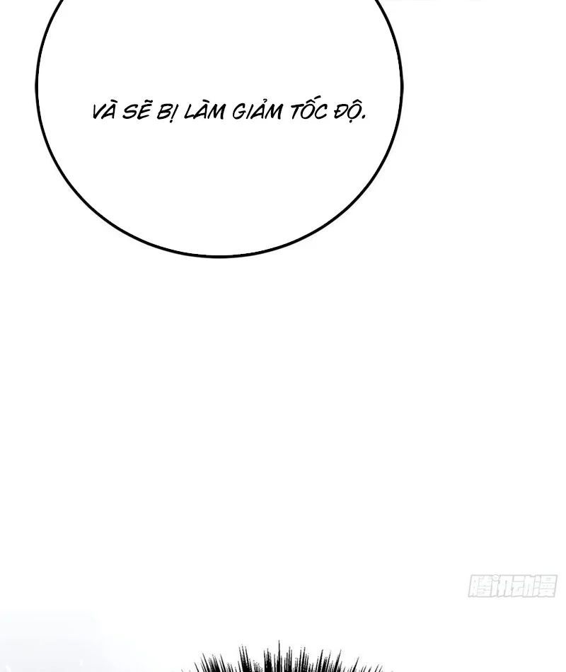 Chapter 5