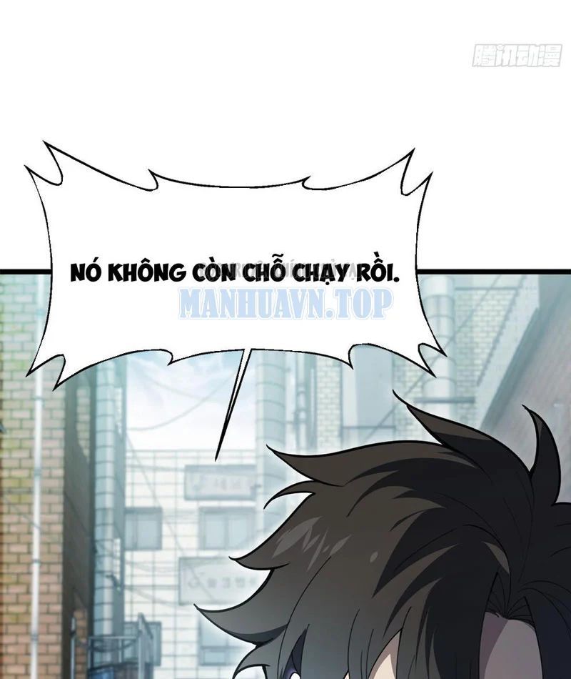 Chapter 5