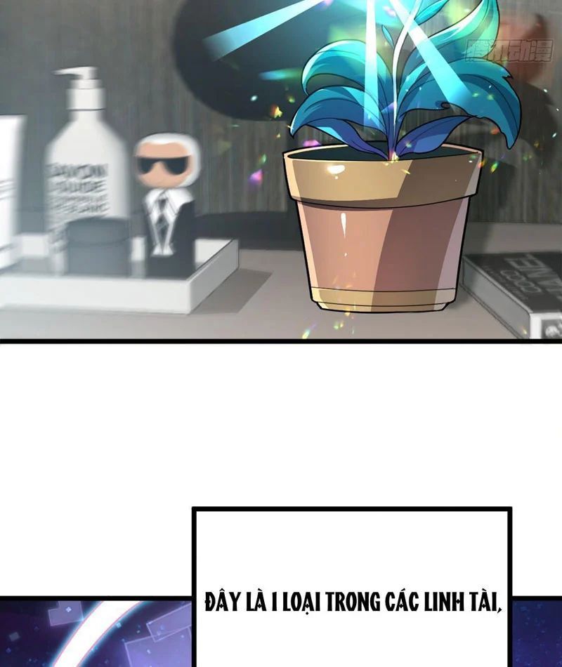 Chapter 5