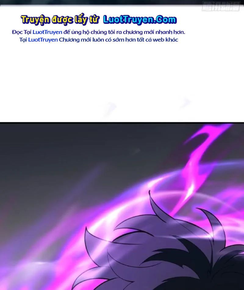 Chapter 7