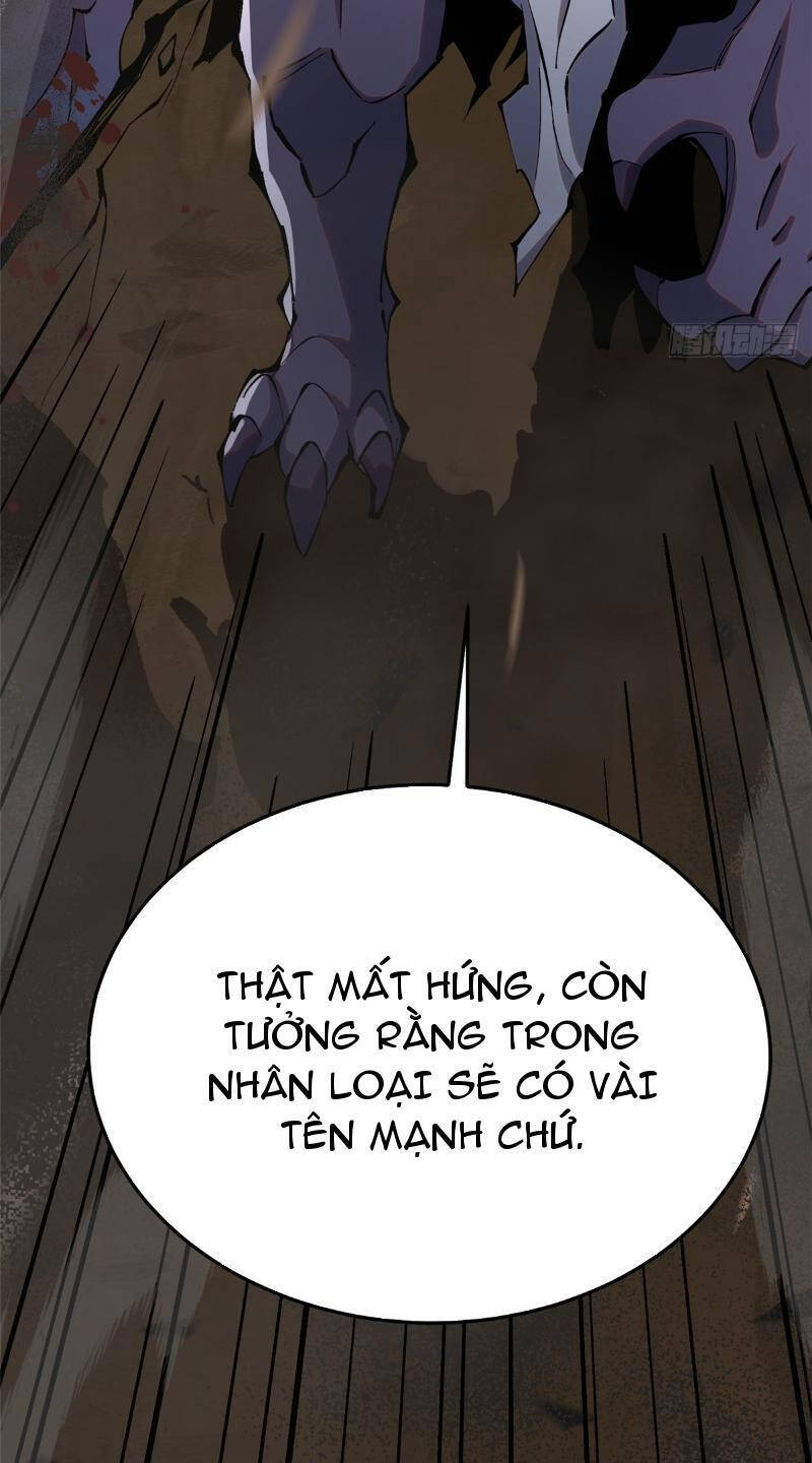 Chapter 11