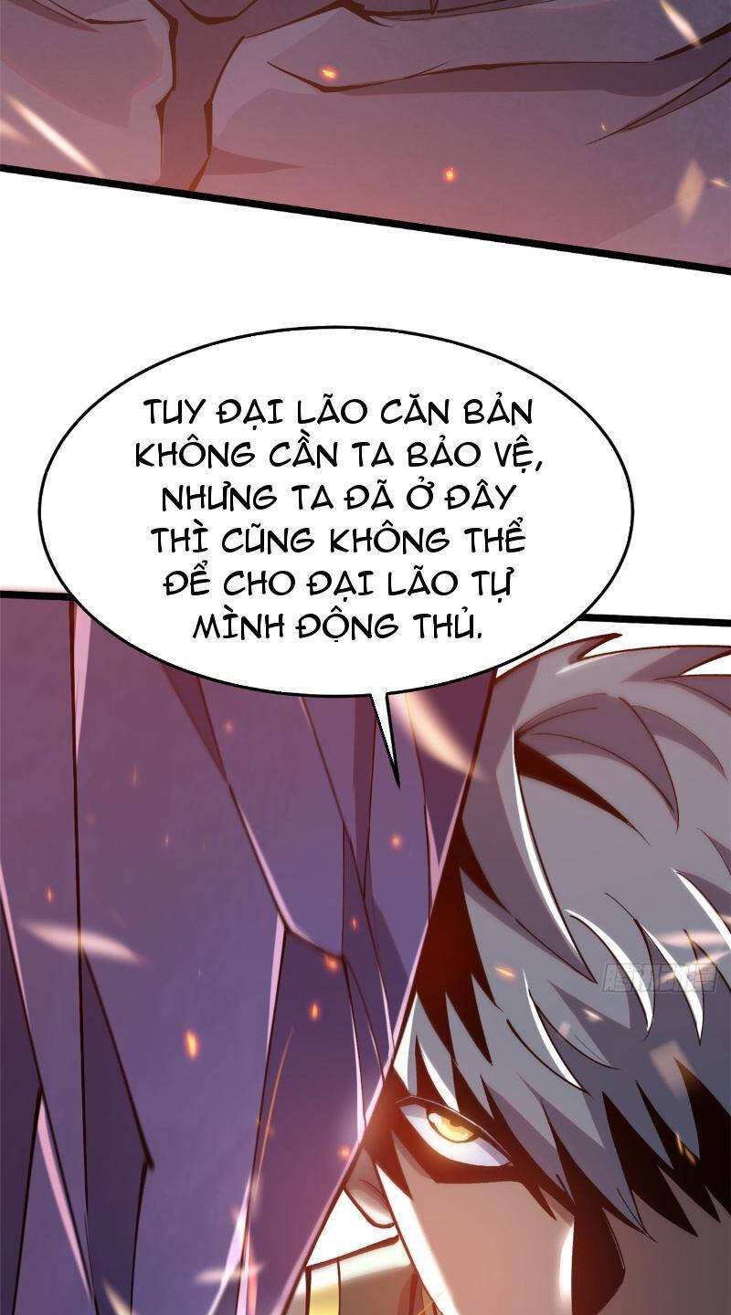 Chapter 11