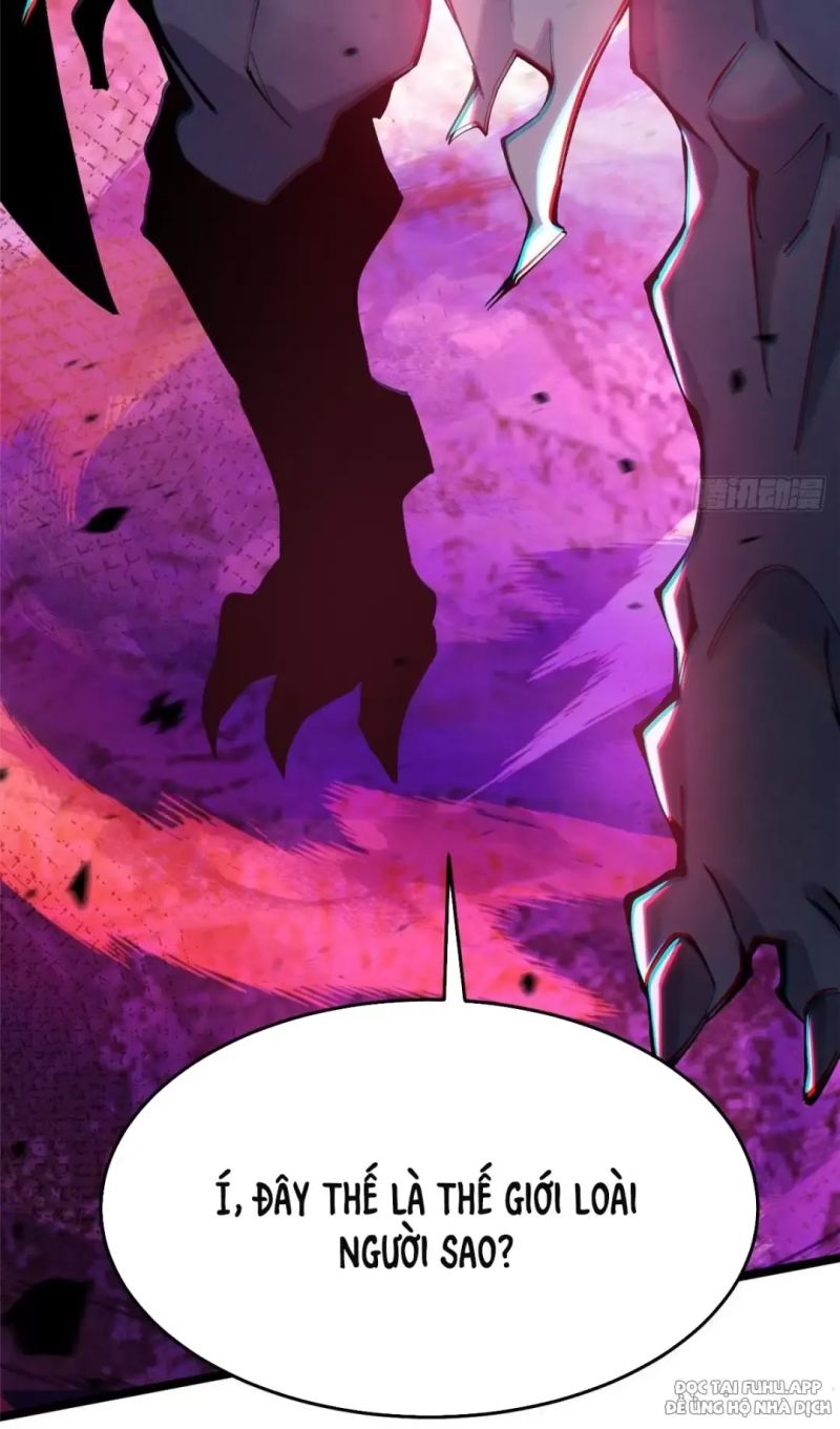 Chapter 13