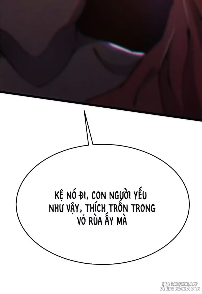 Chapter 13